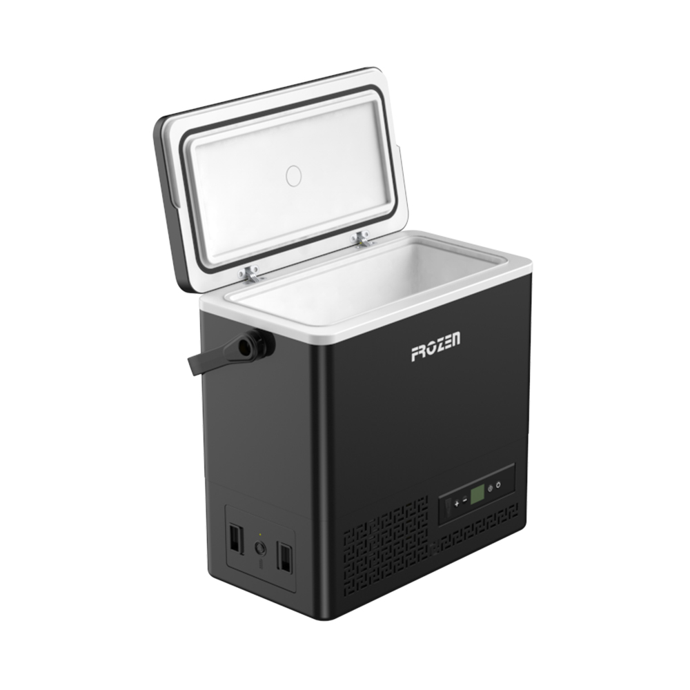 Portable mini compressor car refrigerator FC12